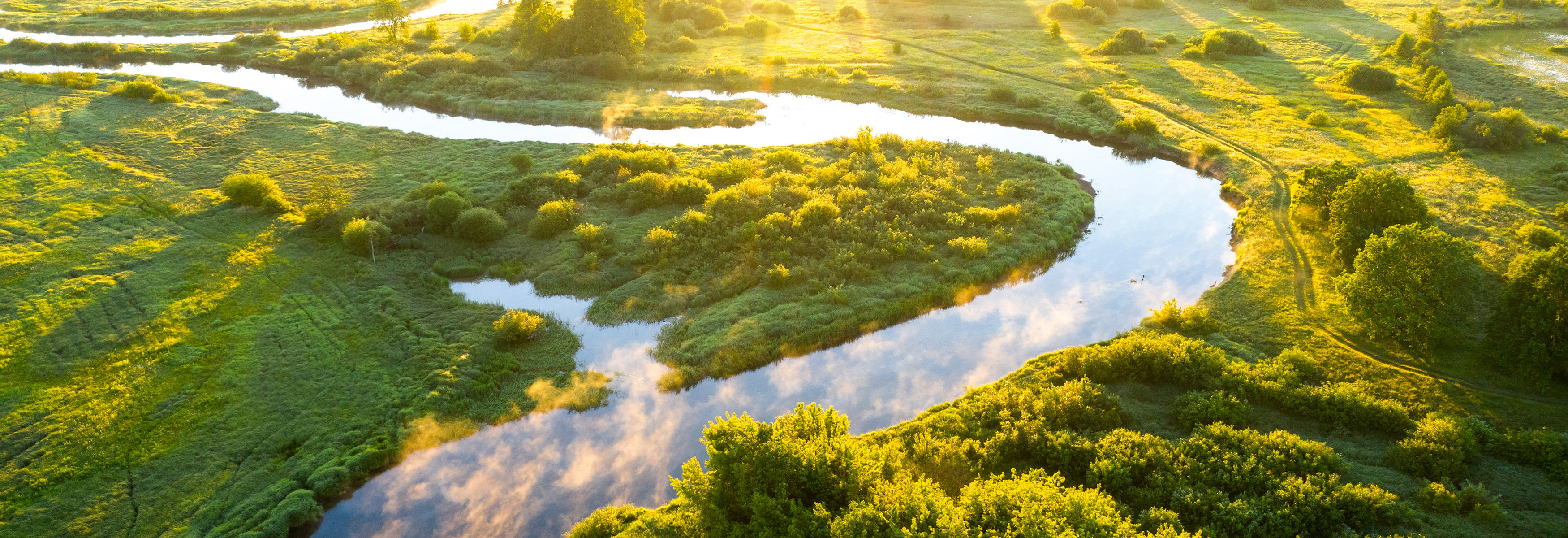 A river flowing through a field of green grass and trees