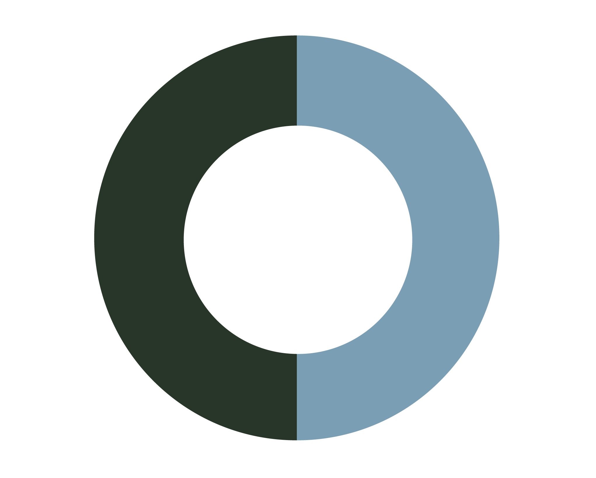 Foreign vs US Patents pie chart